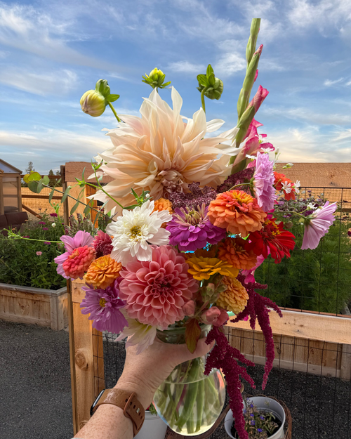 16 Week Bi-Weekly Flower Subscription